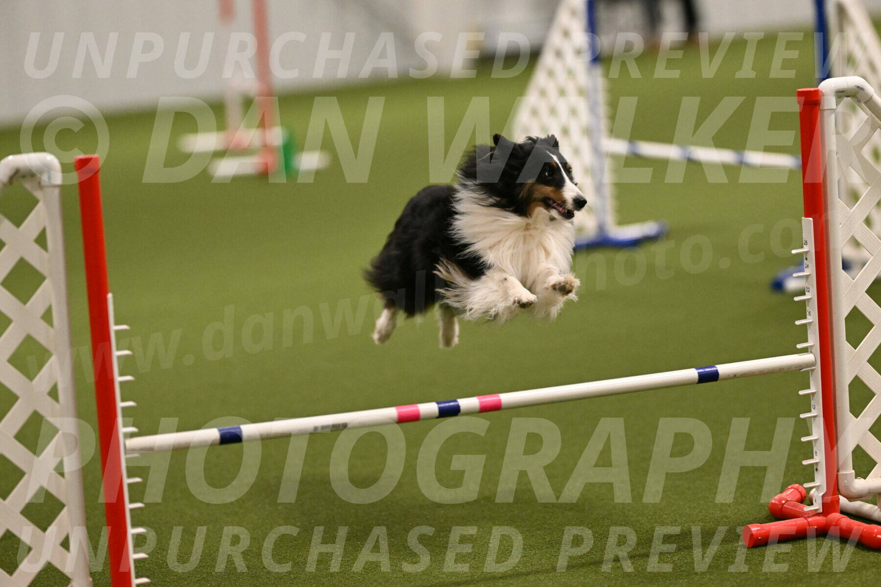 Cleo-Barb-Schmauder-00627