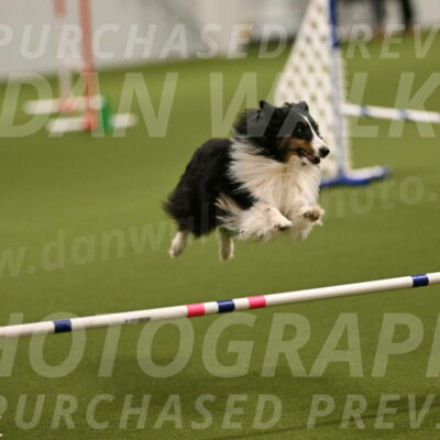 Cleo-Barb-Schmauder-00627