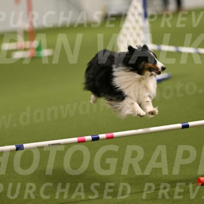 Cleo-Barb-Schmauder-00628