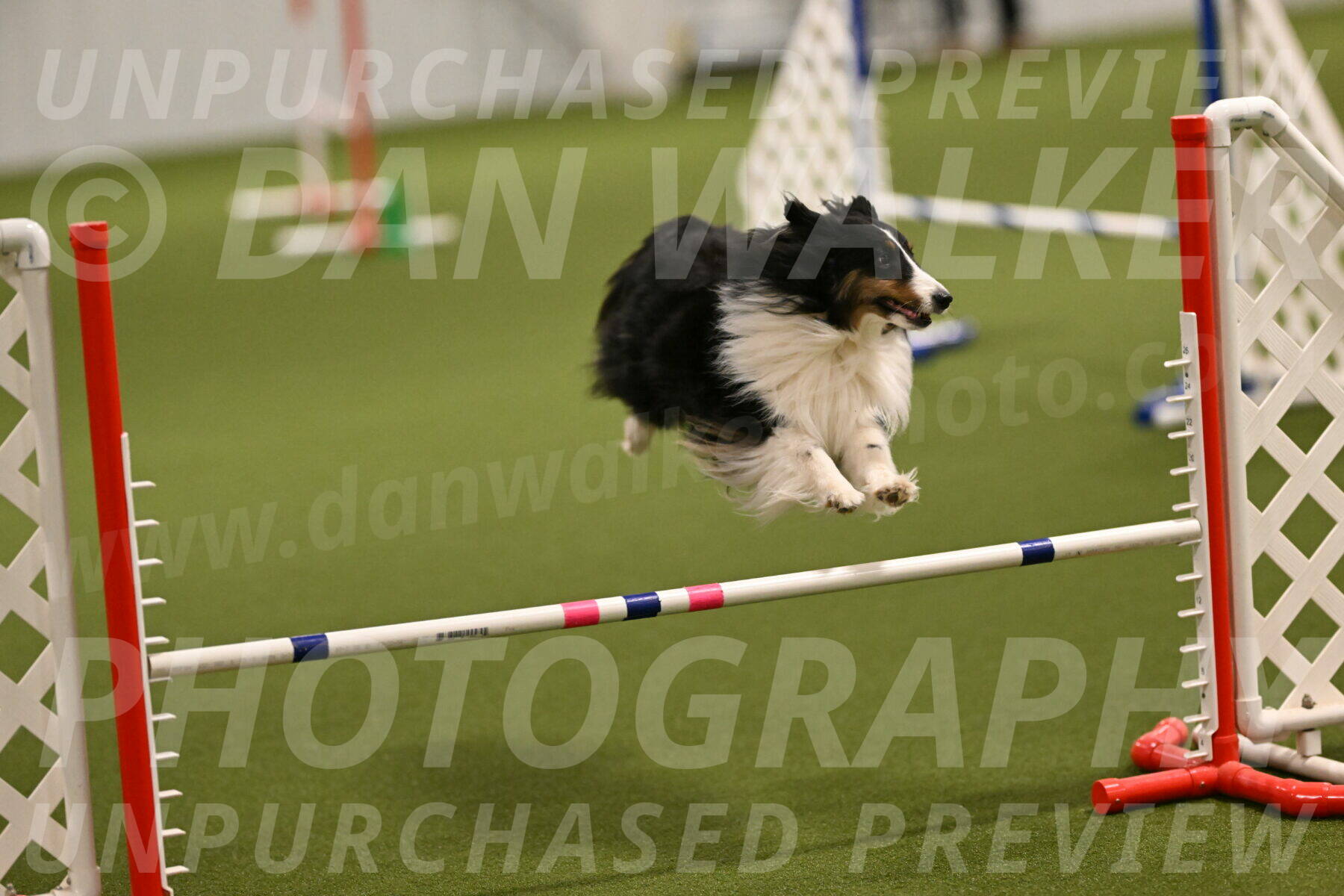 Cleo-Barb-Schmauder-00628