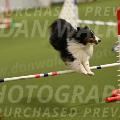 Cleo-Barb-Schmauder-00629