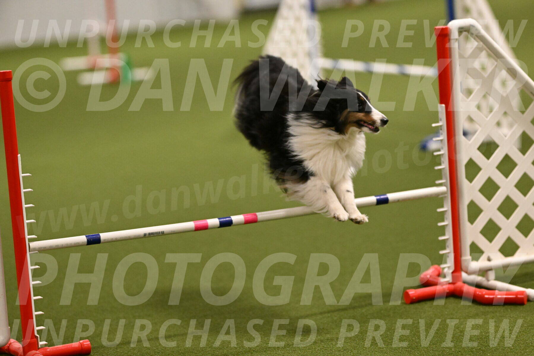 Cleo-Barb-Schmauder-00629