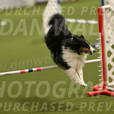 Cleo-Barb-Schmauder-00630