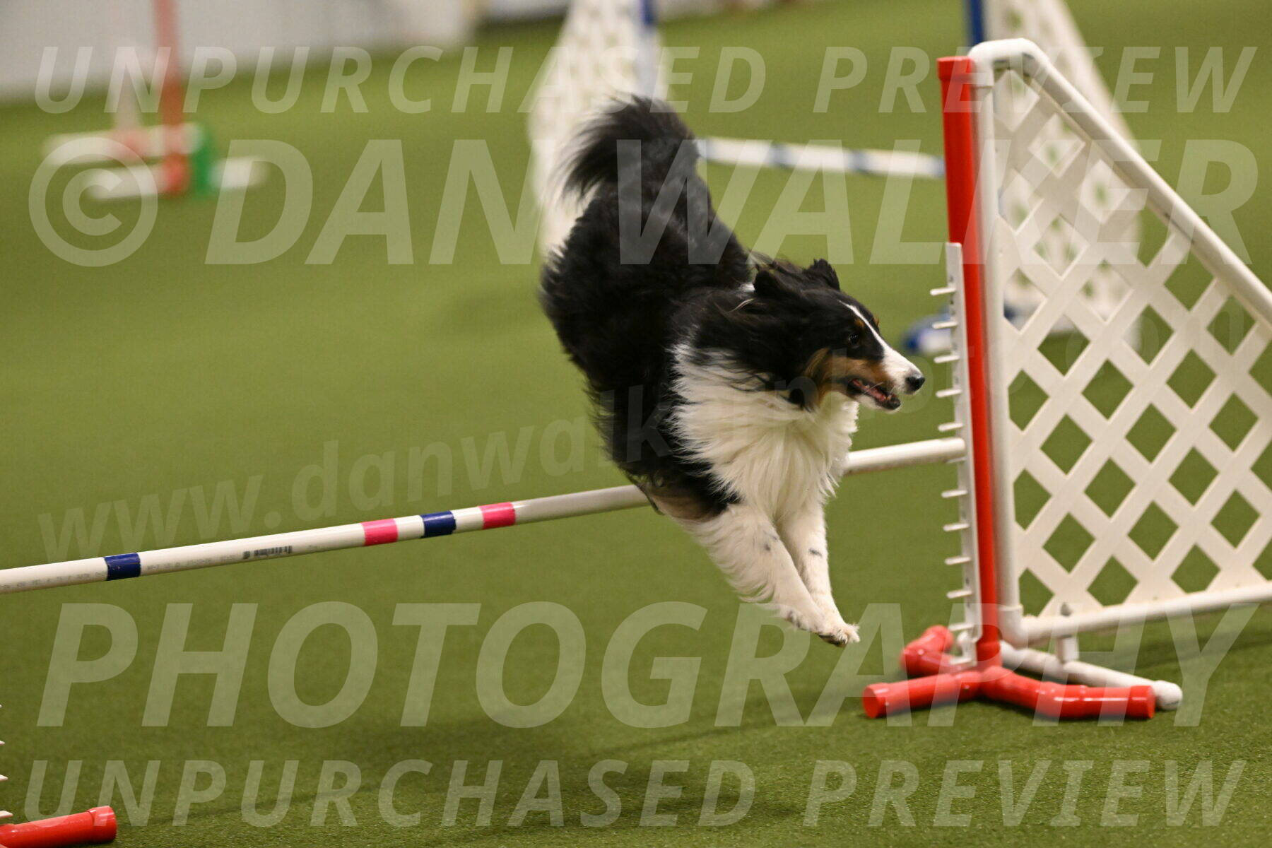 Cleo-Barb-Schmauder-00630