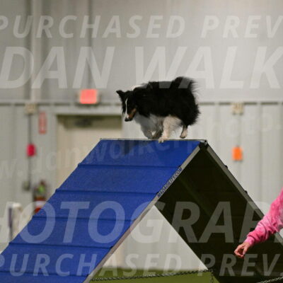 Cleo-Barb-Schmauder-00631