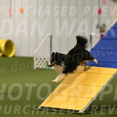 Cleo-Barb-Schmauder-00632