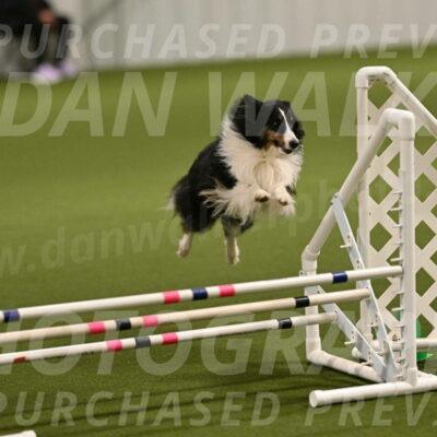 Cleo-Barb-Schmauder-00633