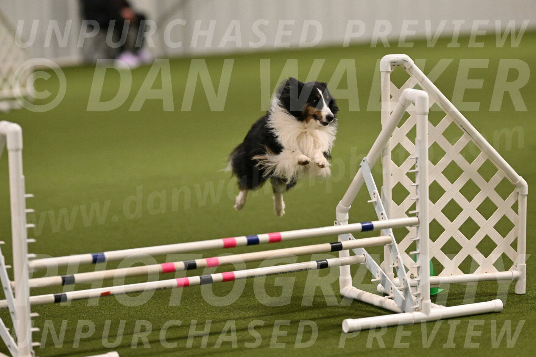 Cleo-Barb-Schmauder-00633