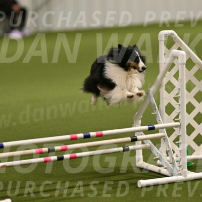 Cleo-Barb-Schmauder-00634