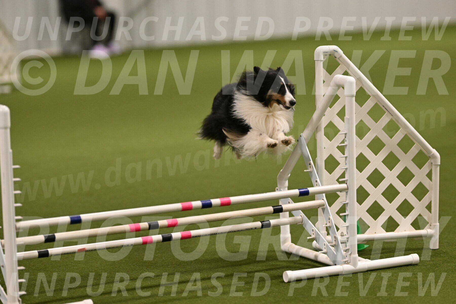 Cleo-Barb-Schmauder-00634