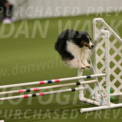 Cleo-Barb-Schmauder-00635