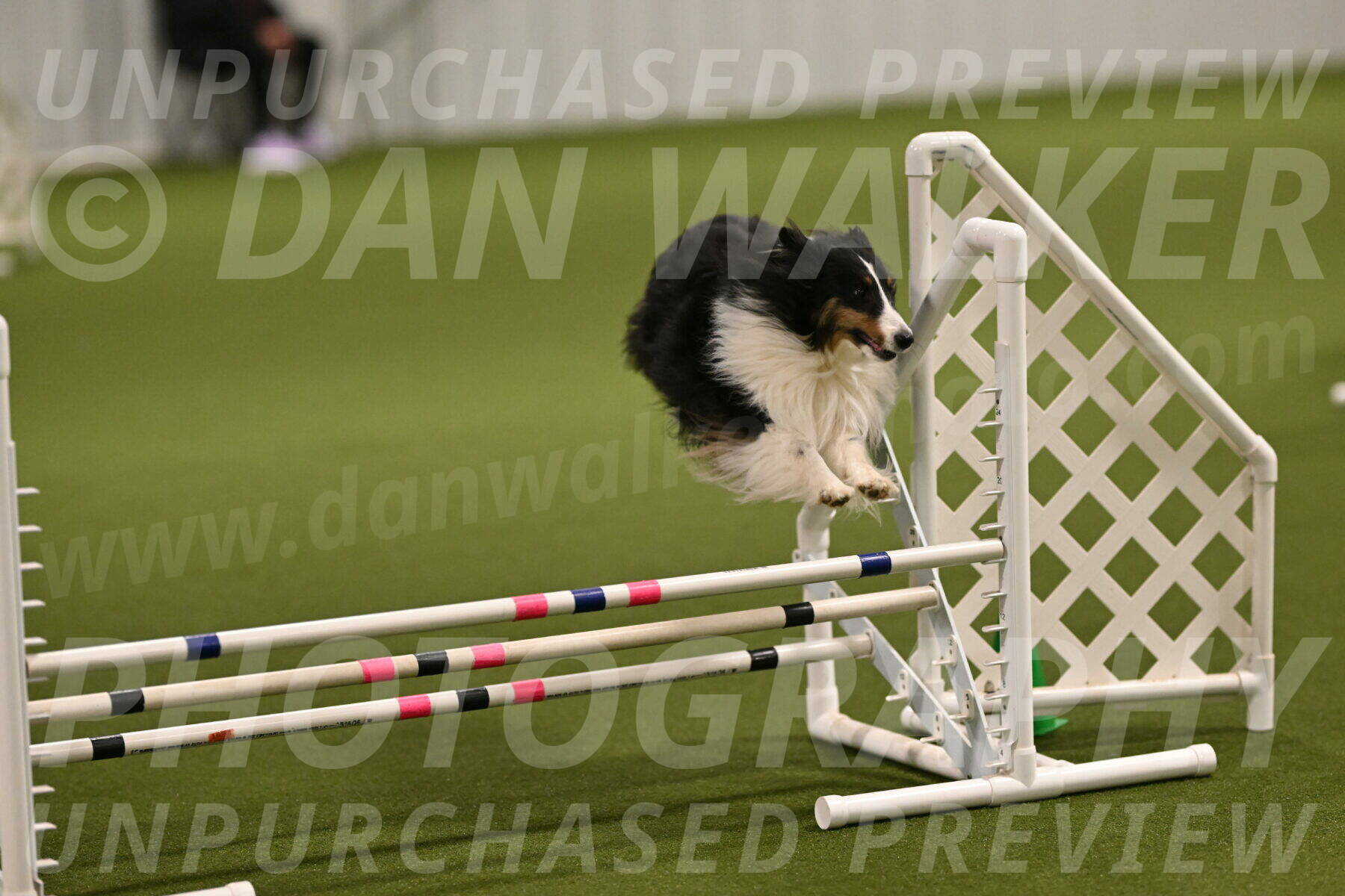 Cleo-Barb-Schmauder-00635