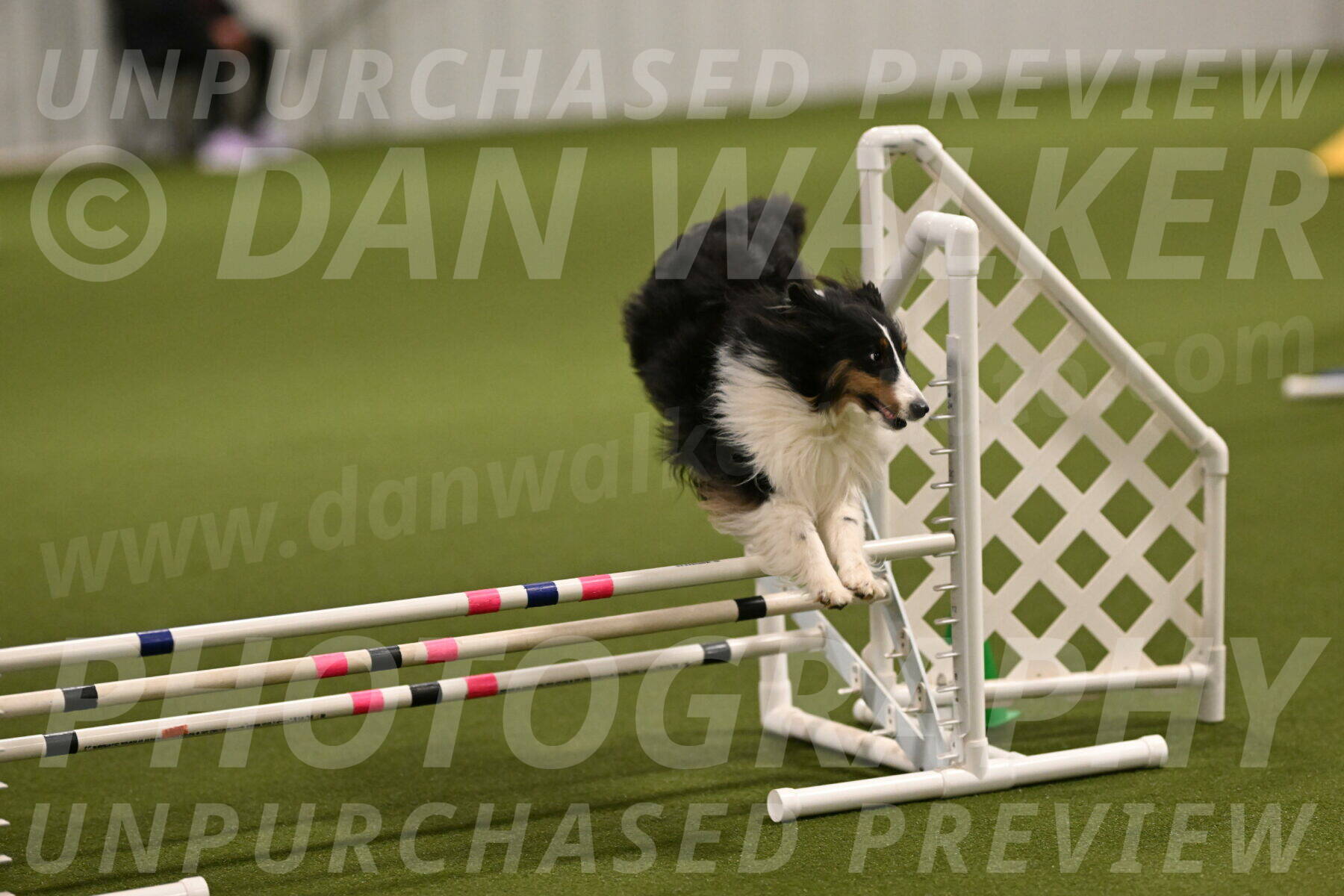 Cleo-Barb-Schmauder-00636