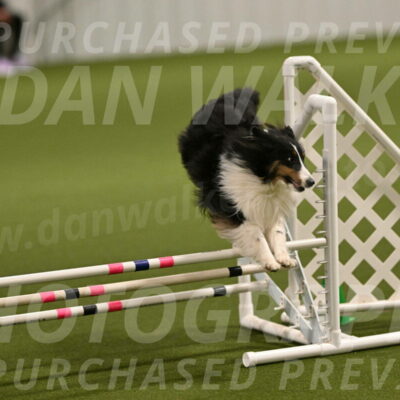 Cleo-Barb-Schmauder-00636