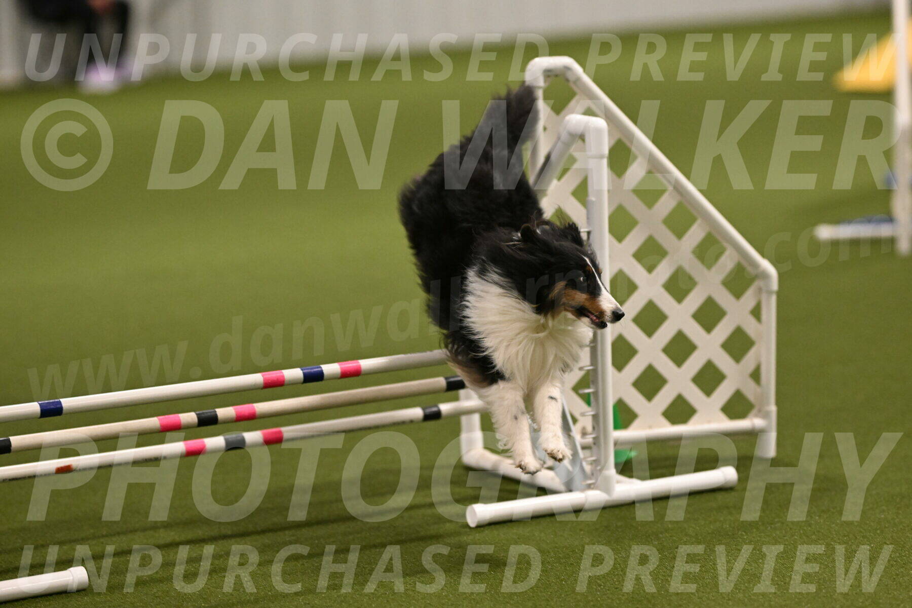 Cleo-Barb-Schmauder-00637