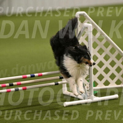 Cleo-Barb-Schmauder-00637