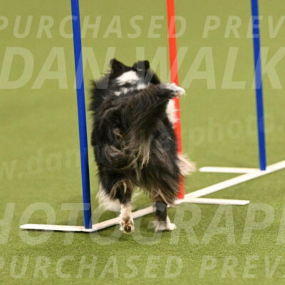 Cleo-Barb-Schmauder-00638