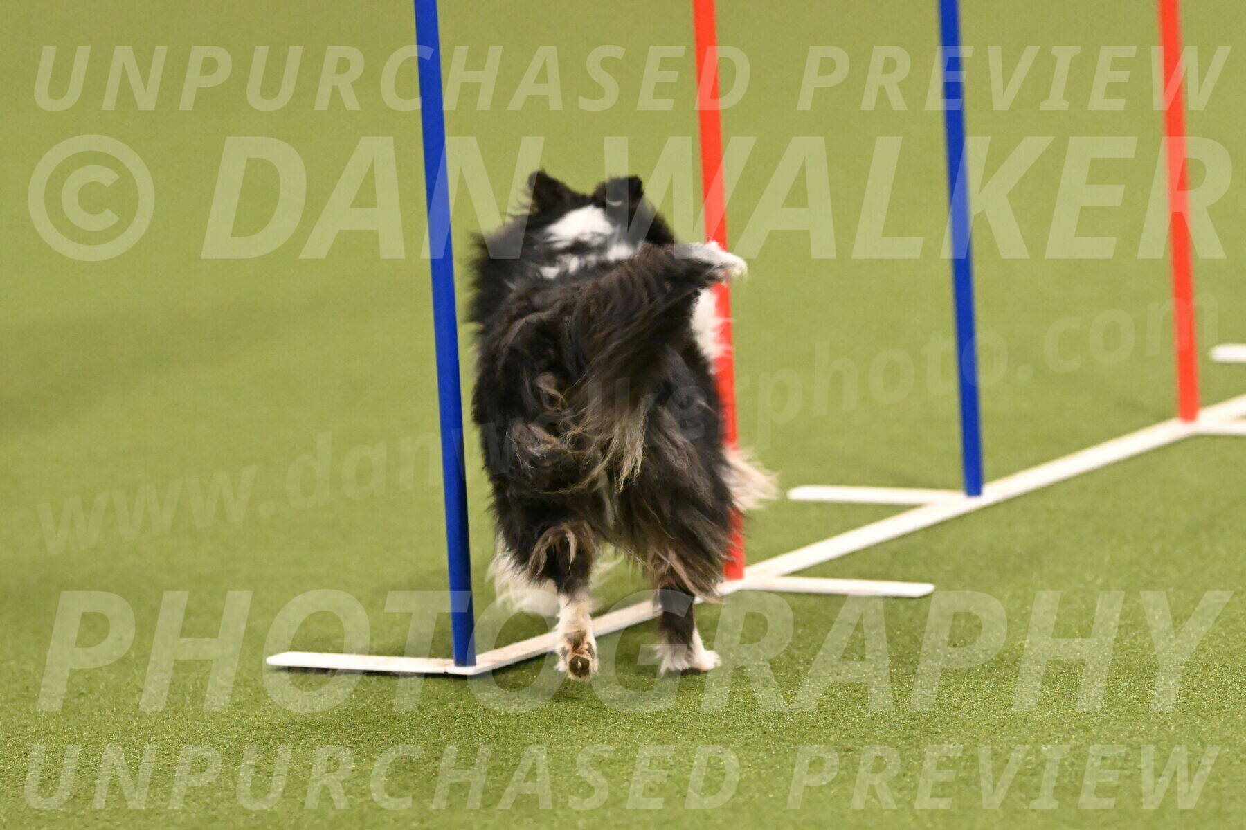 Cleo-Barb-Schmauder-00638