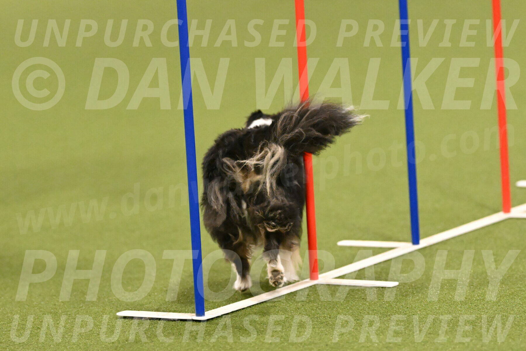 Cleo-Barb-Schmauder-00639