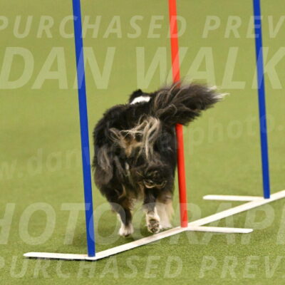 Cleo-Barb-Schmauder-00639