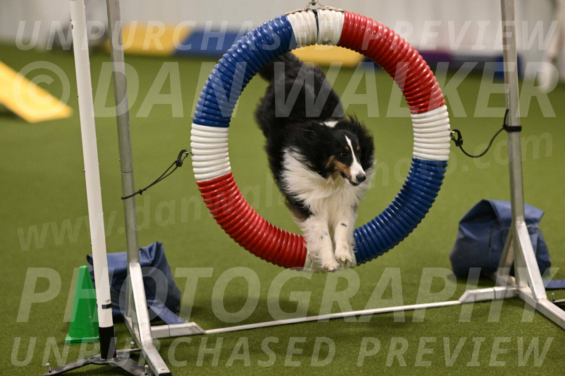 Cleo-Barb-Schmauder-00640