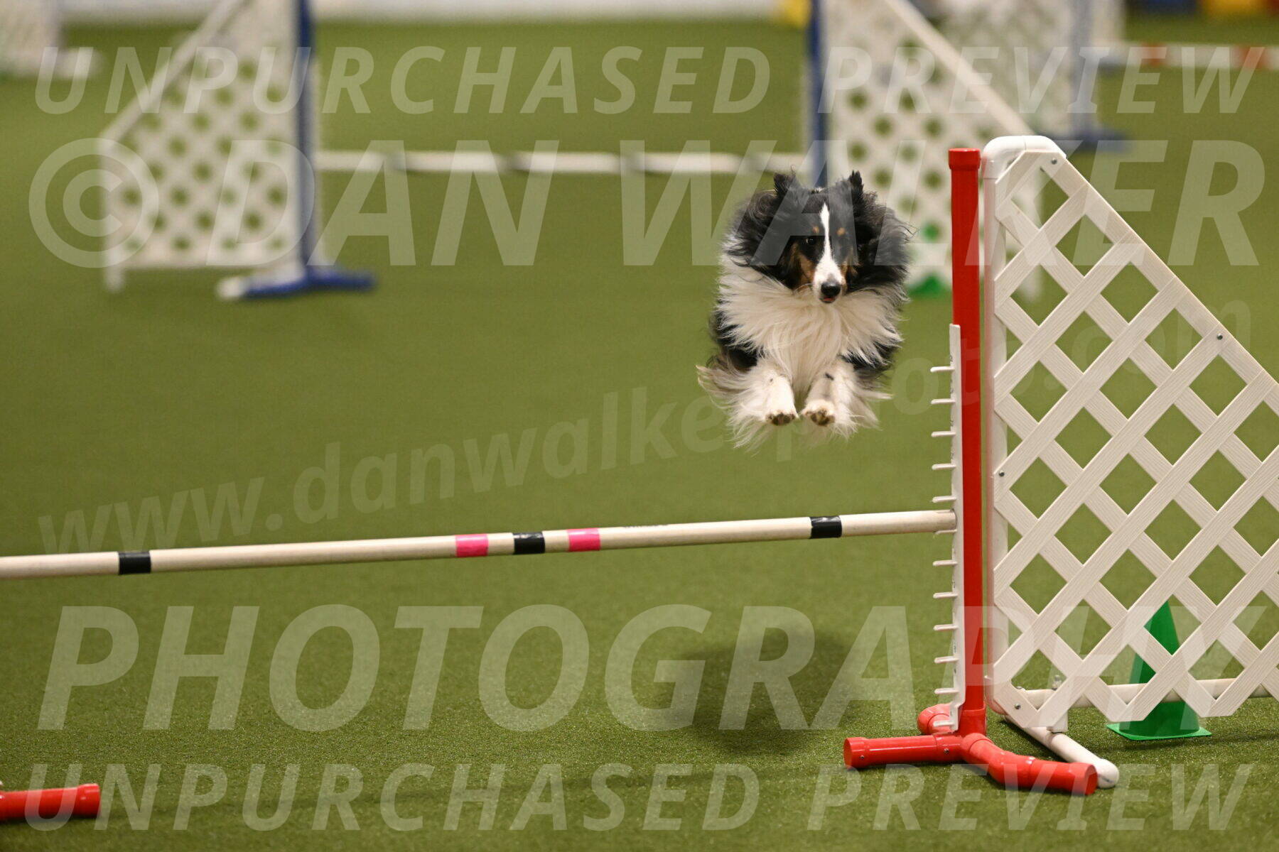 Cleo-Barb-Schmauder-00641