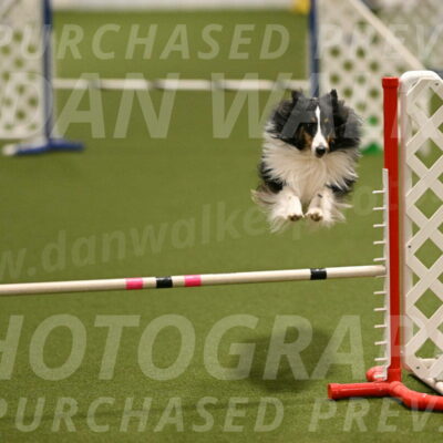 Cleo-Barb-Schmauder-00641