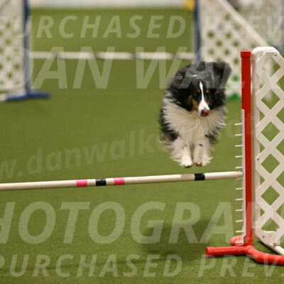 Cleo-Barb-Schmauder-00642