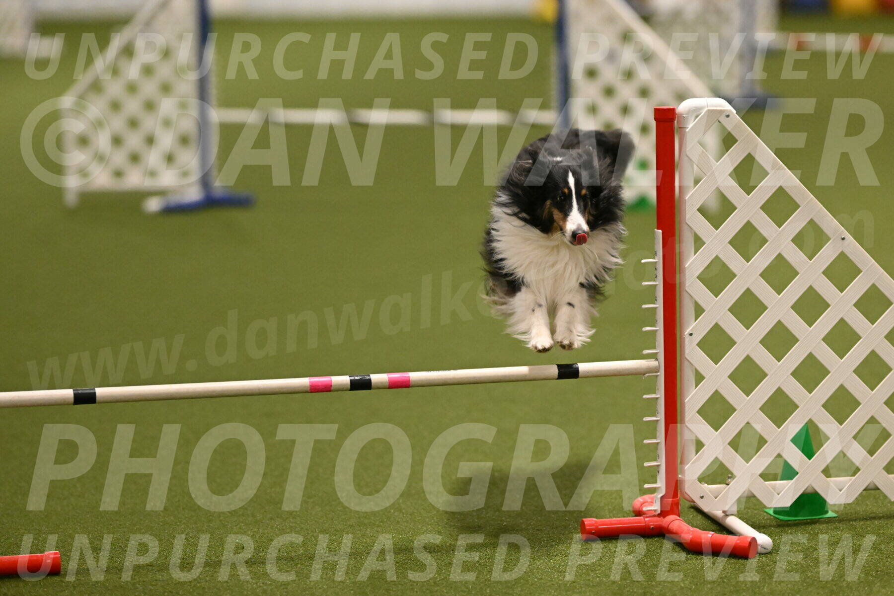 Cleo-Barb-Schmauder-00642