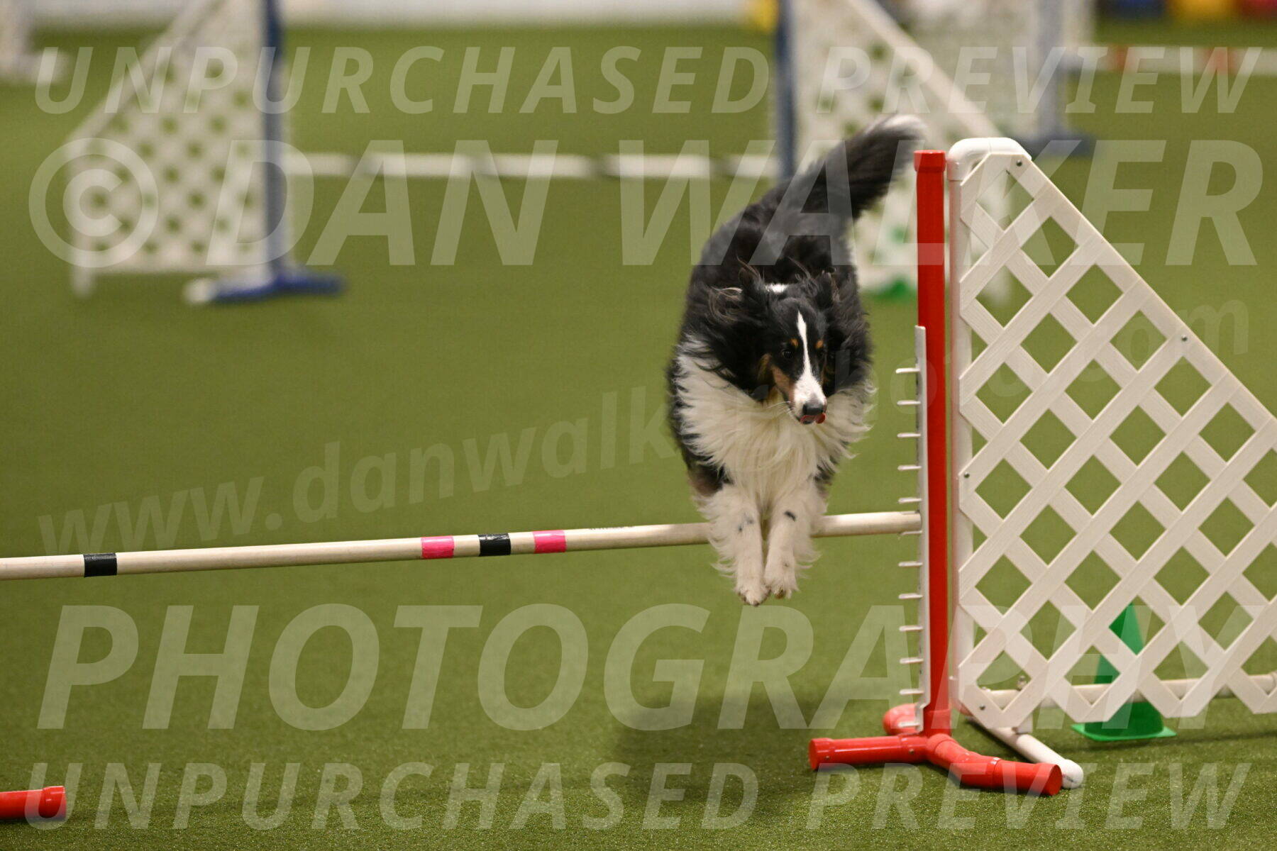 Cleo-Barb-Schmauder-00643