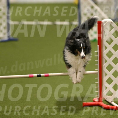 Cleo-Barb-Schmauder-00643