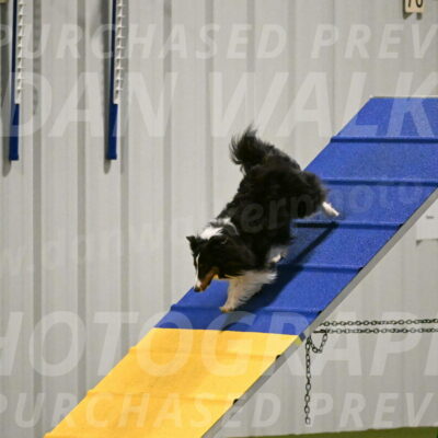 Cleo-Barb-Schmauder-00644