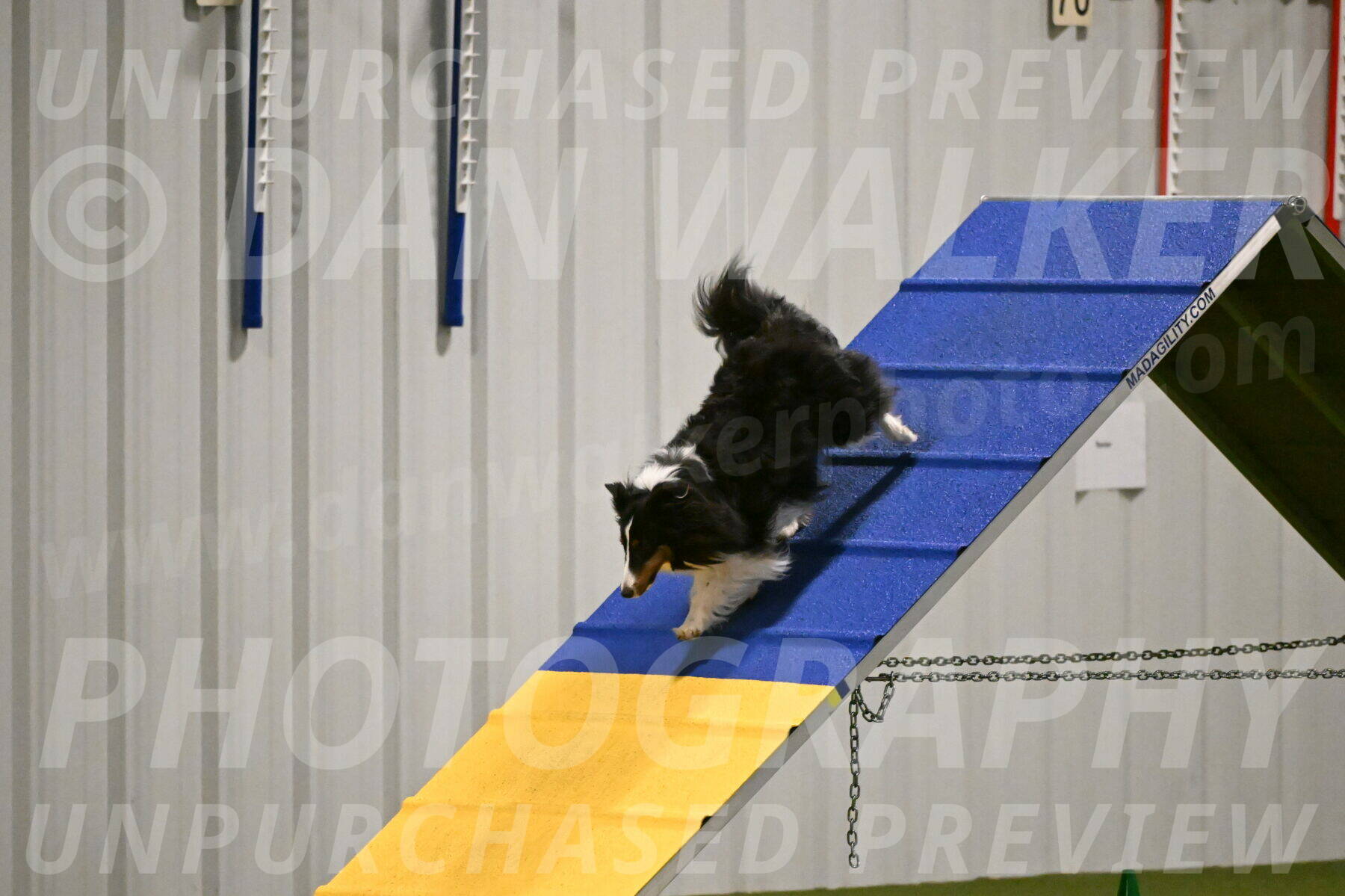 Cleo-Barb-Schmauder-00644