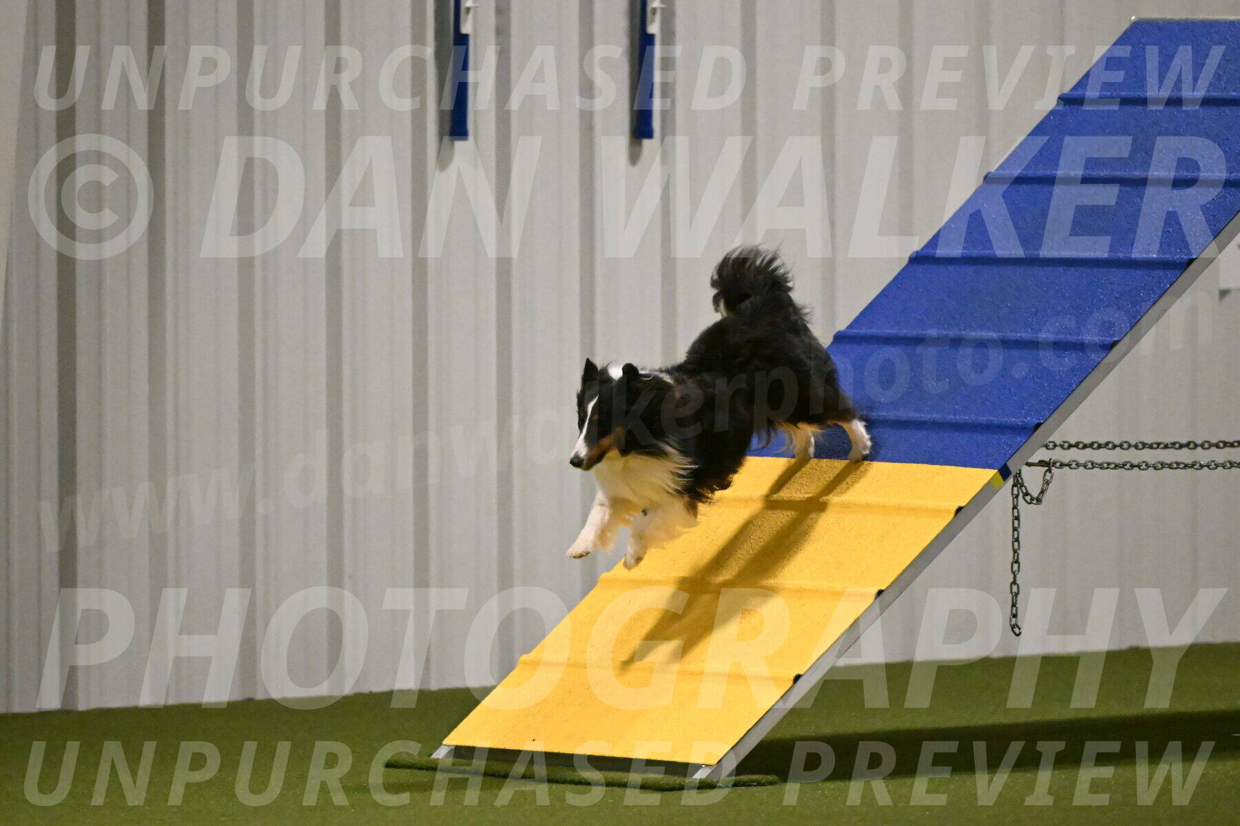 Cleo-Barb-Schmauder-00645