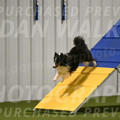 Cleo-Barb-Schmauder-00645