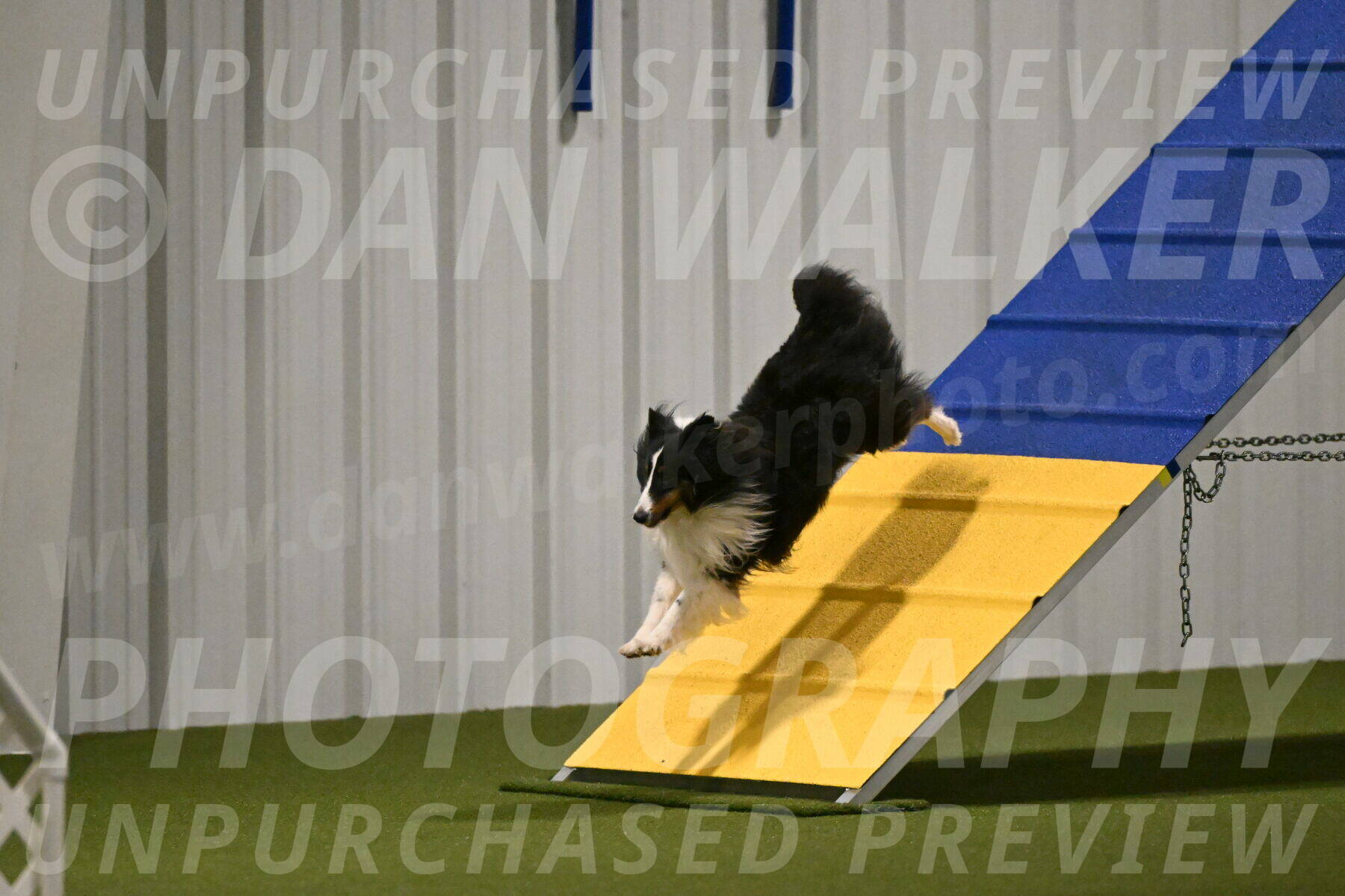 Cleo-Barb-Schmauder-00646