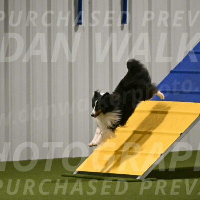 Cleo-Barb-Schmauder-00646