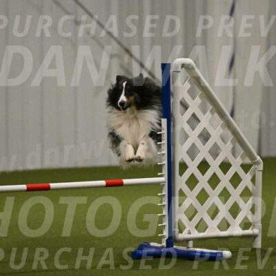 Cleo-Barb-Schmauder-00647