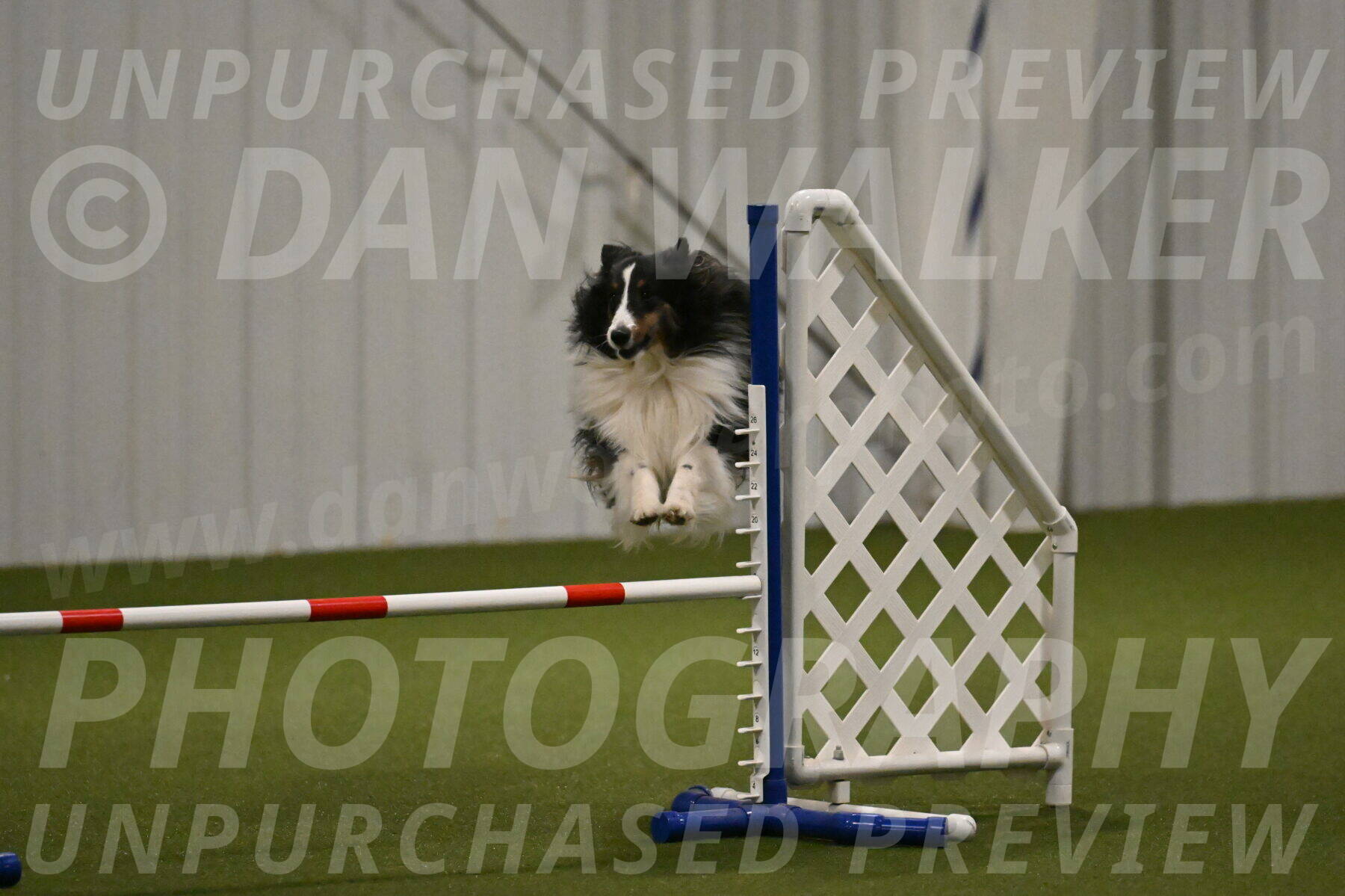 Cleo-Barb-Schmauder-00647