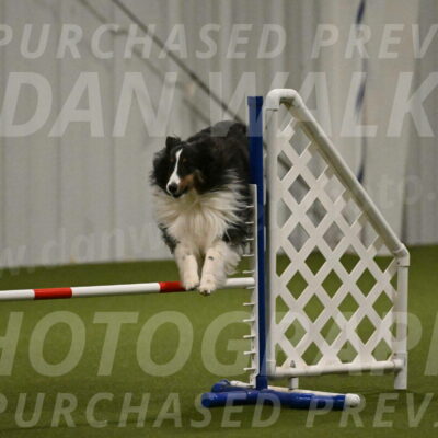 Cleo-Barb-Schmauder-00648