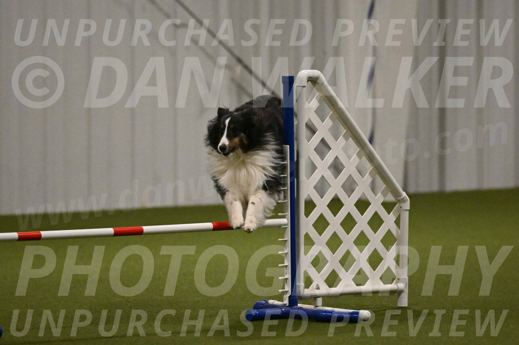 Cleo-Barb-Schmauder-00648