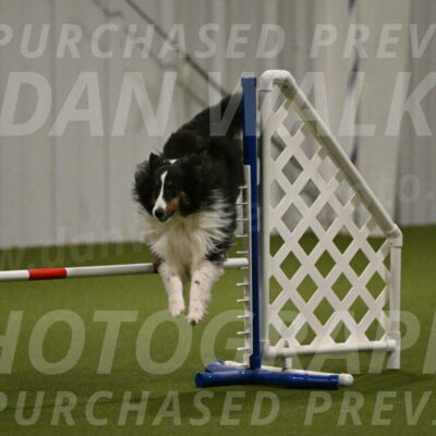 Cleo-Barb-Schmauder-00649