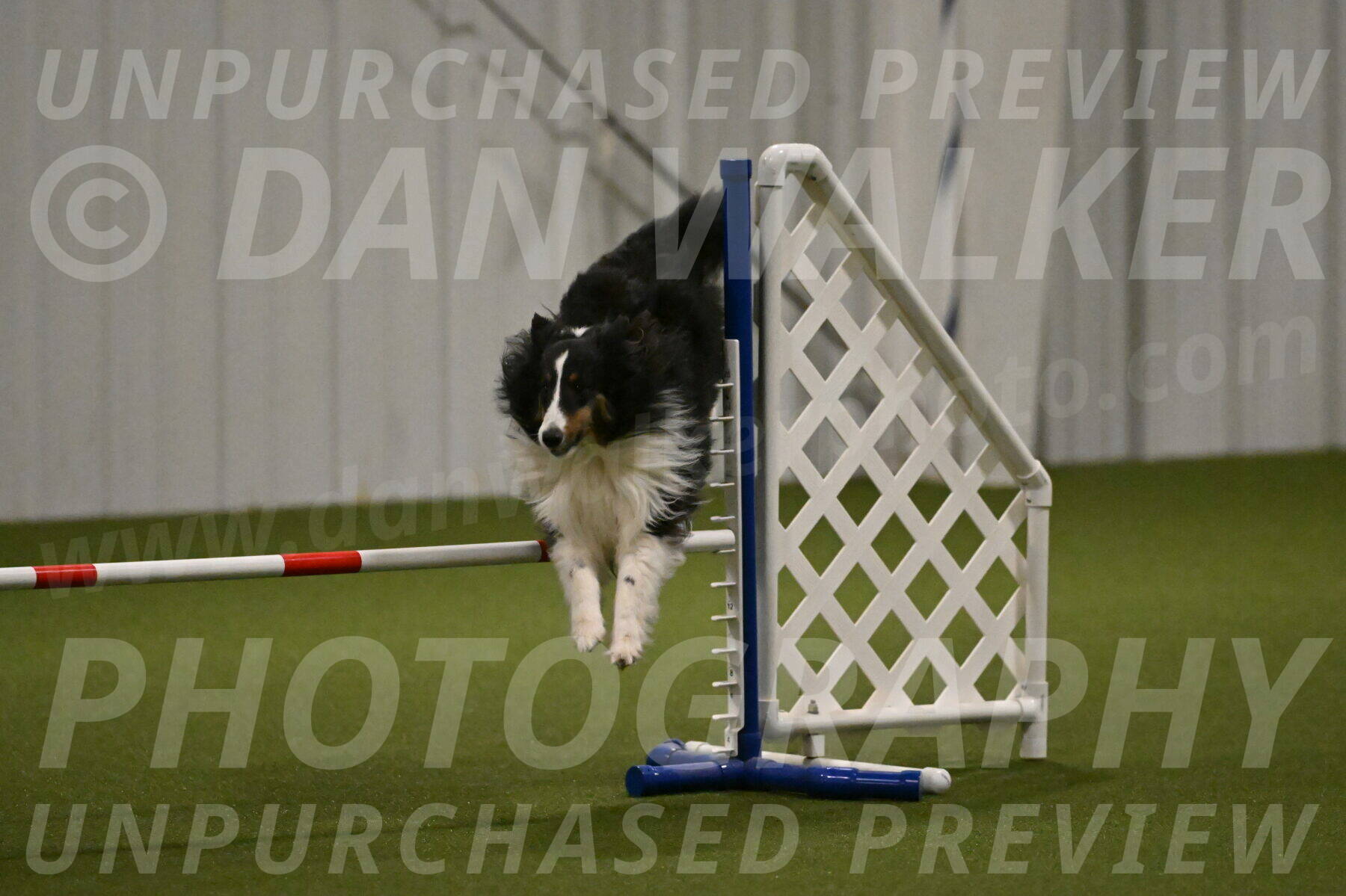 Cleo-Barb-Schmauder-00649