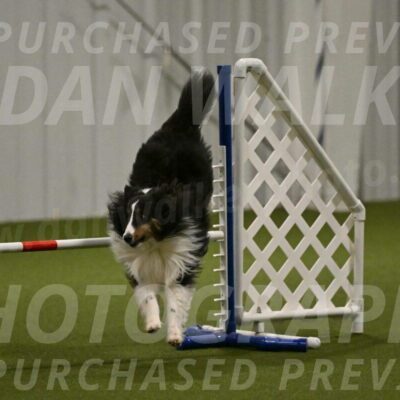 Cleo-Barb-Schmauder-00650