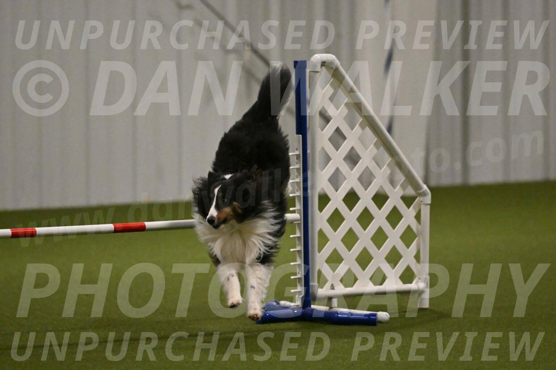 Cleo-Barb-Schmauder-00650