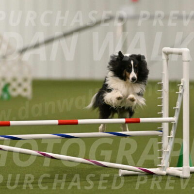 Cleo-Barb-Schmauder-00651