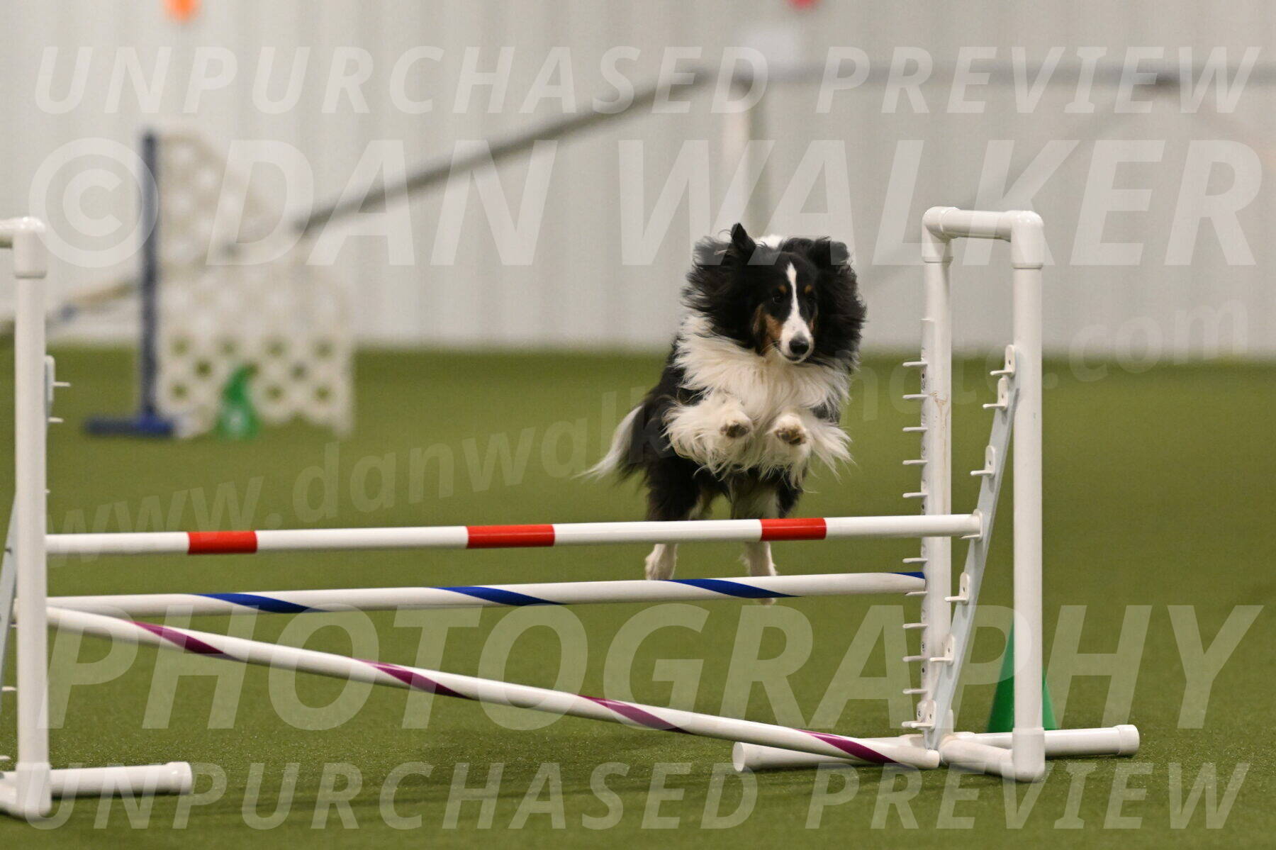 Cleo-Barb-Schmauder-00651