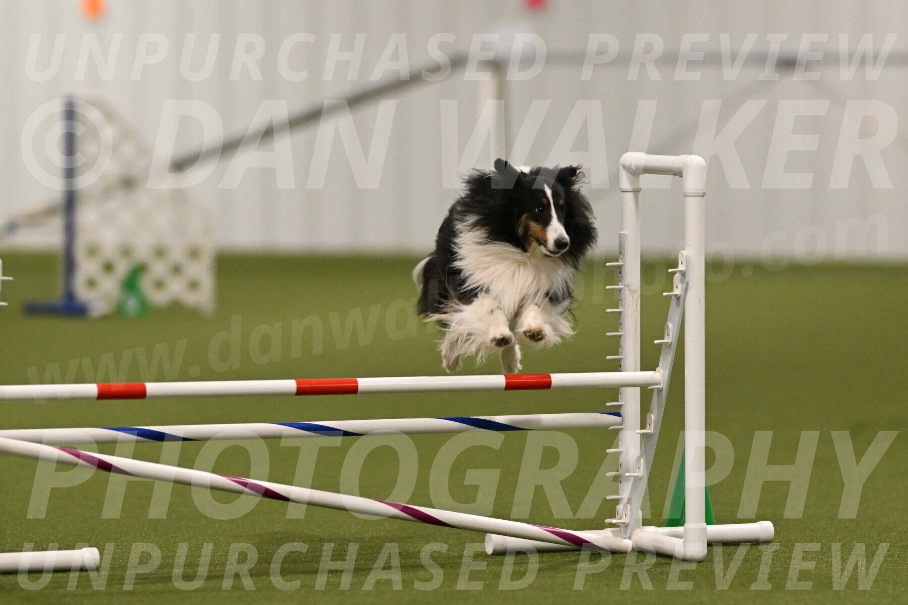 Cleo-Barb-Schmauder-00652