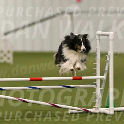 Cleo-Barb-Schmauder-00652