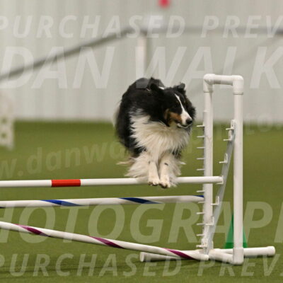 Cleo-Barb-Schmauder-00653